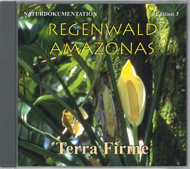 Amazonas Regenwald 3 - Terra Firme