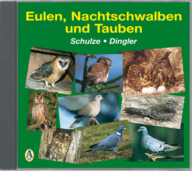Eulen, Nachtschwalben und Tauben