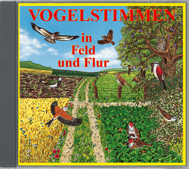 2 - Vogelstimmen in Feld und Flur
