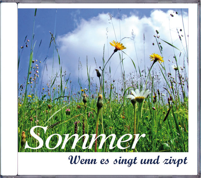 Es singt und zirpt - SOMMER