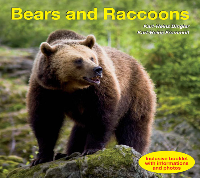 Bears and Raccoons, 99 recordings, 70 min