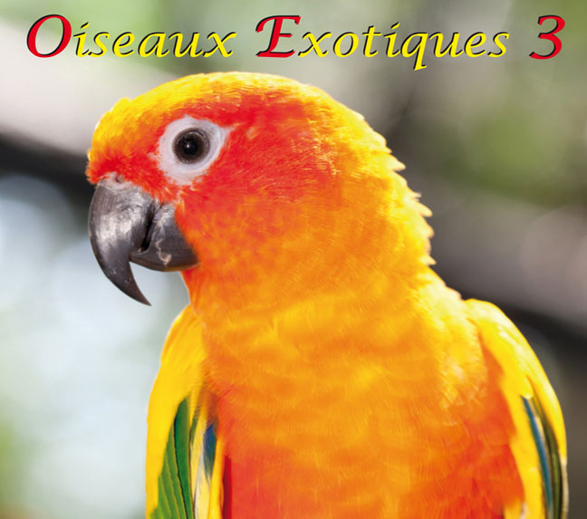 Oiseaux Exotiques 3, 48:52 min.