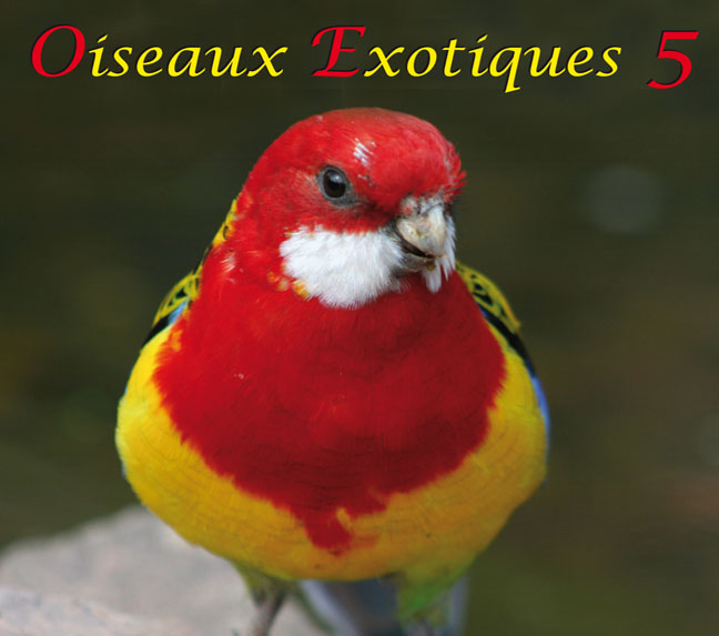 Oiseaux Exotiques 5, 50:00 min.