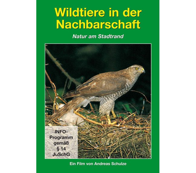 Tierwelt DVD: Wildtiere in der Nachbarschaft