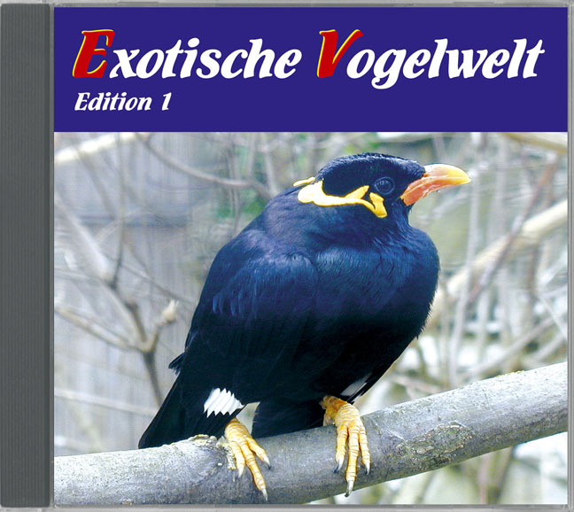 Exotische Vogelwelt