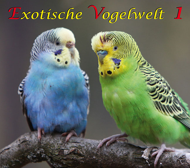 DOWNLOAD - Exotische Vogelwelt 1 - 50:31 Min.