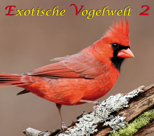 DOWNLOAD - Exotische Vogelwelt 2 - 48:49 Min.