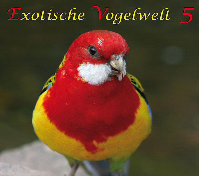 DOWNLOAD - Exotische Vogelwelt 5 - 50:00 Min.